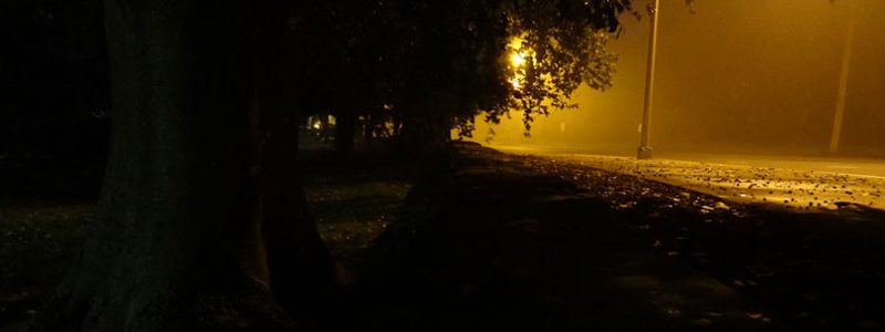 Coming Out of the COVID Shadows ineverylifewesometimesgetthestreetalltoourselves-featured