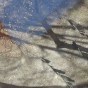The Difficult Math of COVID Death cemetery-graves-and-leaves-featured