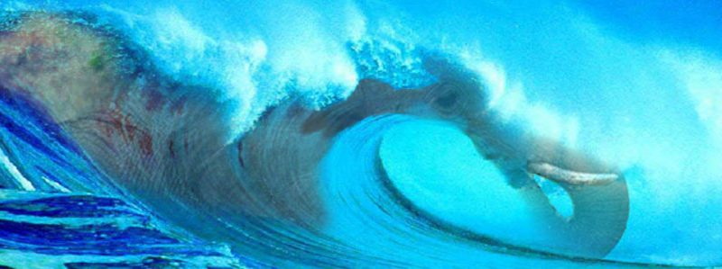 Clay Johnson: Handicapping the Race for Chairman of the RI GOP elephantwave-featured