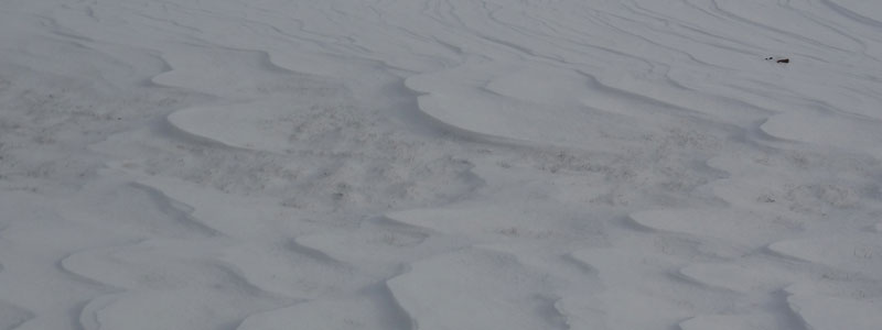 Observations from a Circle of Rhode Island asnewyearbeginsitfeelsliketheworldsmeltingsideways-featured