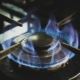 Twenty-one states’ attorneys general wrote a letter opposing Department of Energy regulations regarding gas stoves.