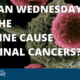TODAY ON OUR SHOW, it is just another Wuhan Wednesday!  We're asking a serious question, did the vaccine cause terminal cancers? ... coming up LIVE at 4:00 PM and then always on demand.