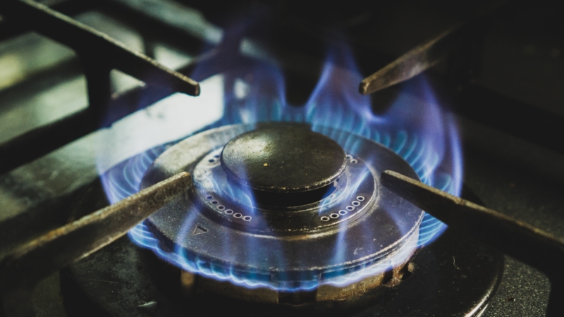 House Republicans blasted a recently proposed federal regulatory effort to largely ban gas stove use for Americans at a hearing Tuesday and argued more rules of this kind are on the horizon.